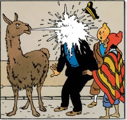 Prisoners of the Sun LLAMA